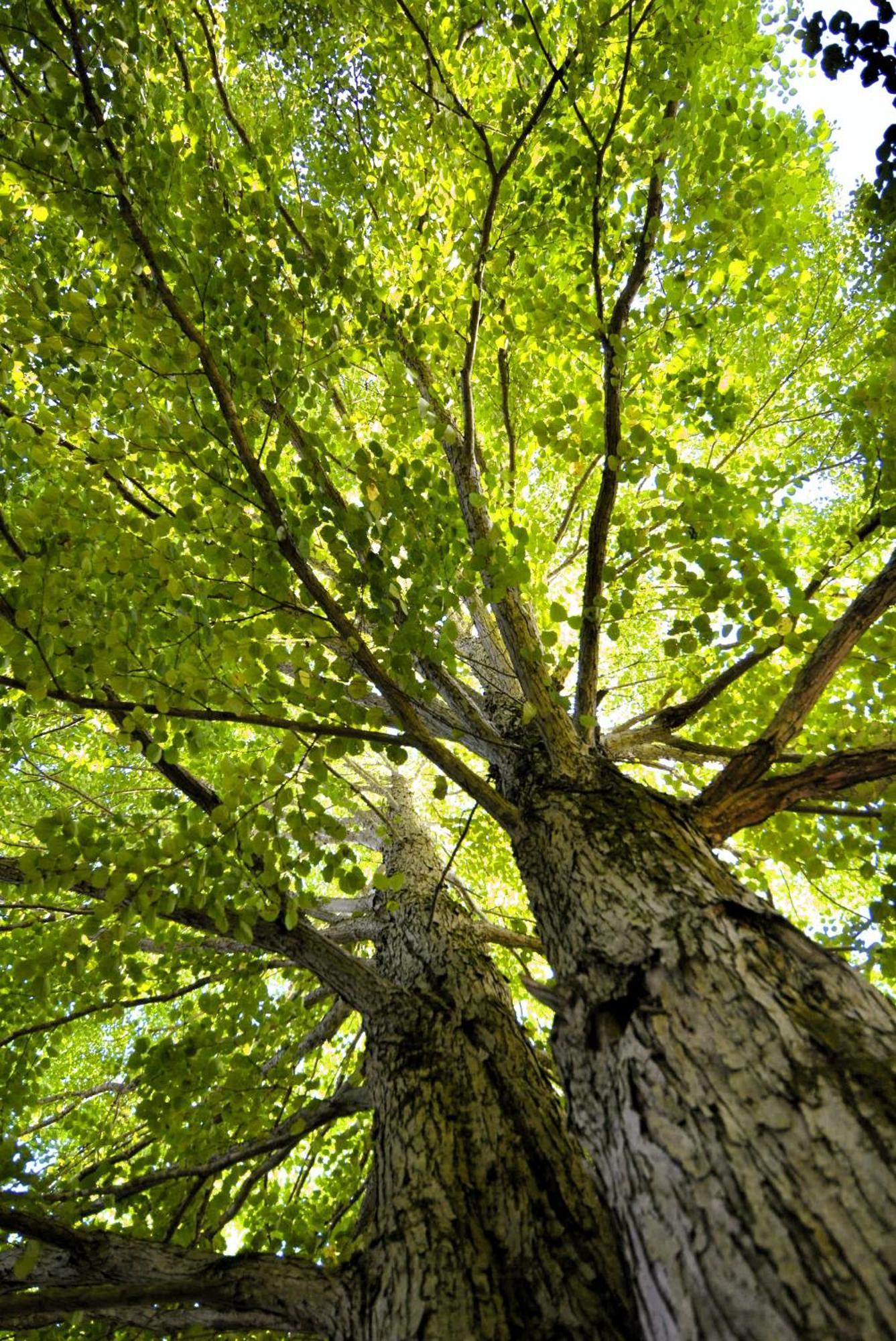 Hakone Mori No Yado Ξενοδοχείο Εξωτερικό φωτογραφία