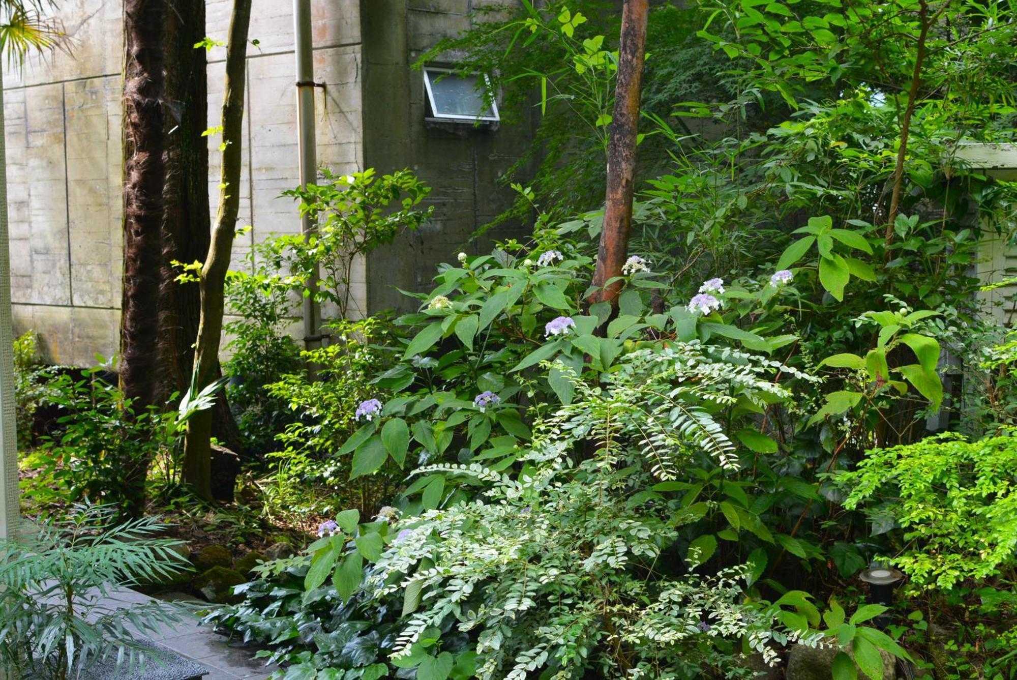 Hakone Mori No Yado Ξενοδοχείο Εξωτερικό φωτογραφία