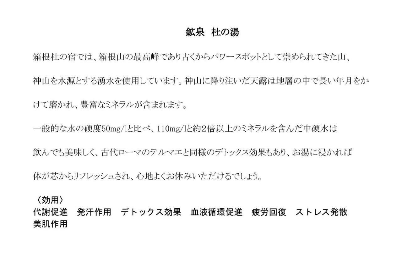 Hakone Mori No Yado Ξενοδοχείο Εξωτερικό φωτογραφία